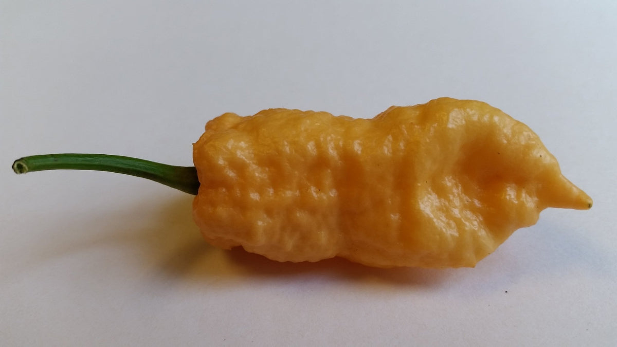 Peach Bhut Jolokia Ghost - Seeds - The Pepper Pantry (Formerly Marie Sharp's)