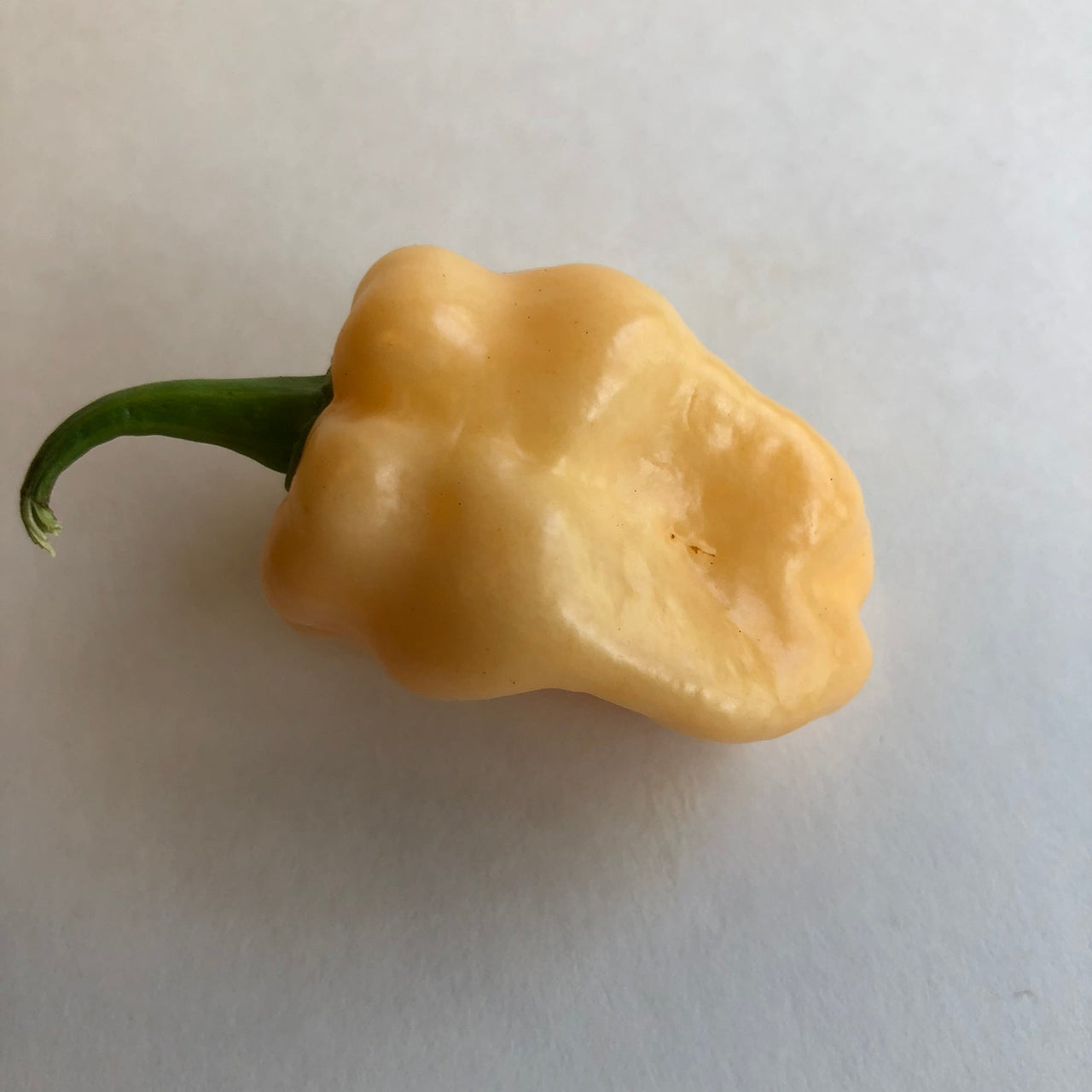 Peaches N Cream Ghost - Seeds - The Pepper Pantry (Formerly Marie Sharp's)