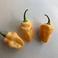 Peaches N Cream Ghost - Seeds - The Pepper Pantry (Formerly Marie Sharp's)