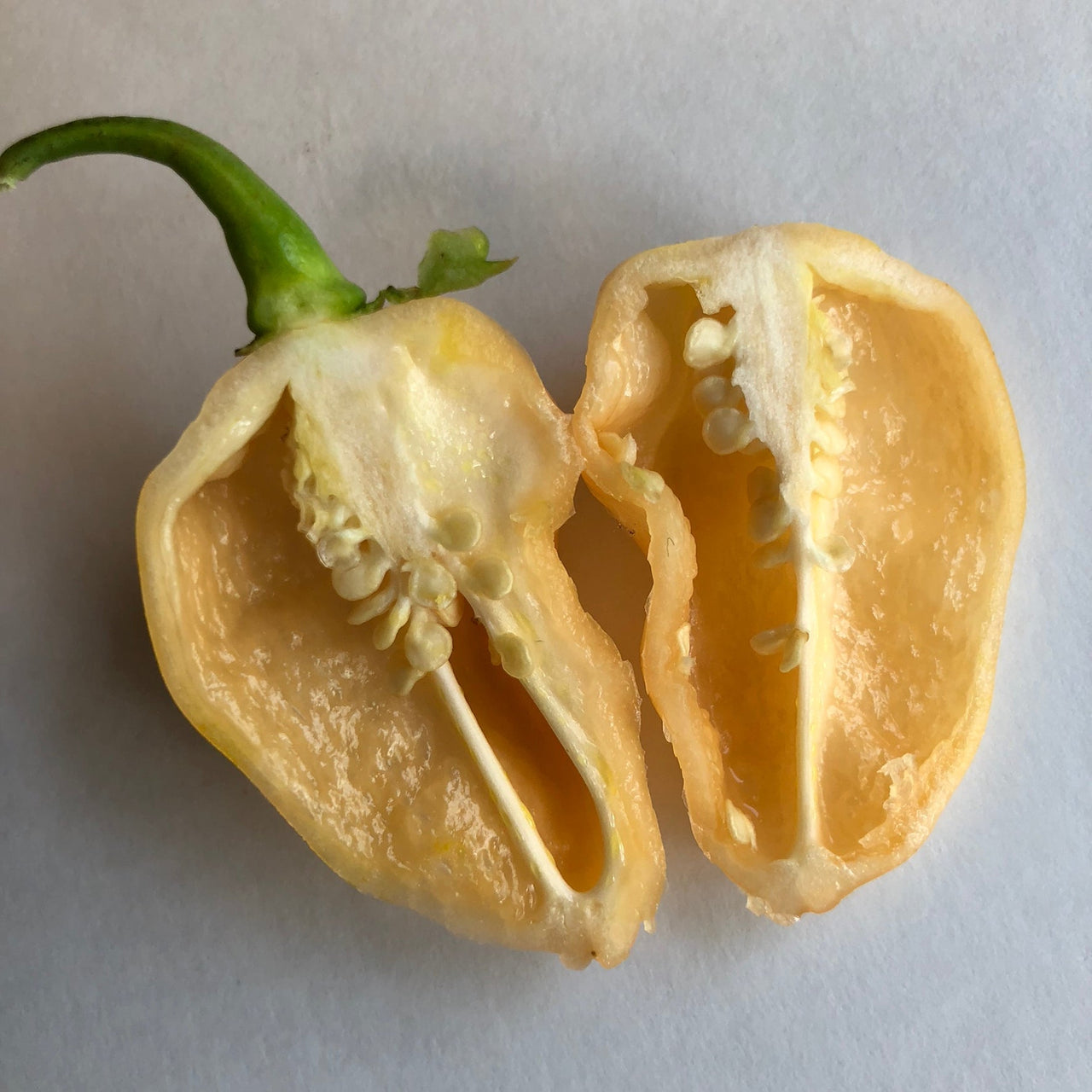 Peaches N Cream Ghost - Seeds - The Pepper Pantry (Formerly Marie Sharp's)