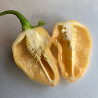 Peaches N Cream Ghost - Seeds - The Pepper Pantry (Formerly Marie Sharp's)