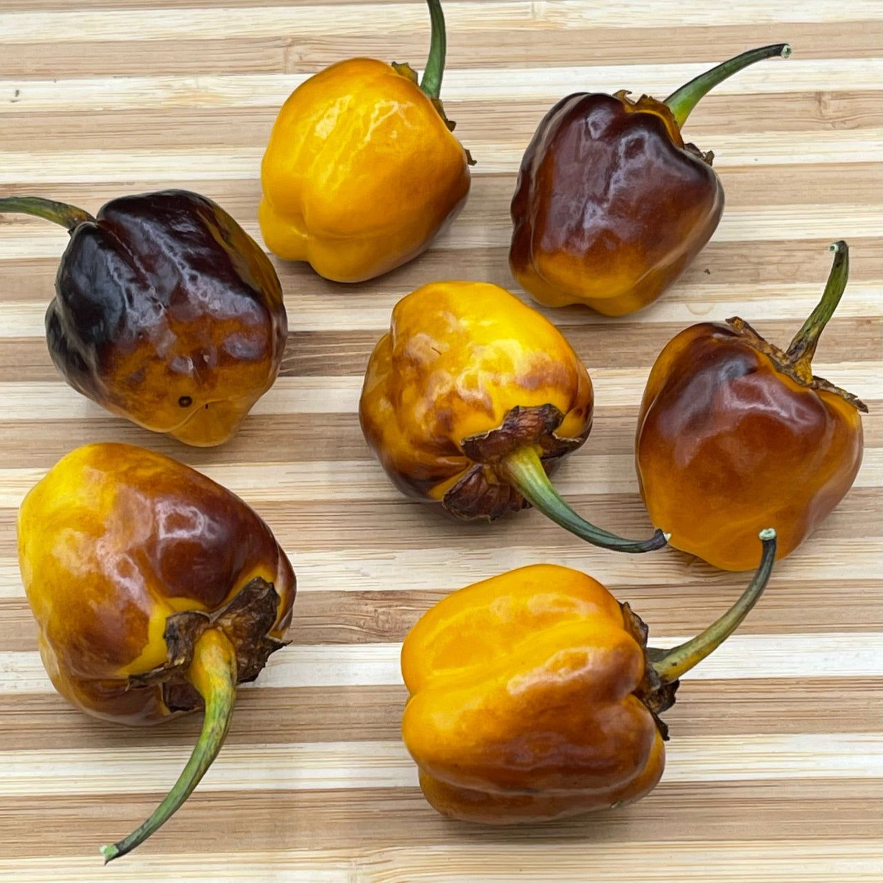 Pimenta Puma Golden - Seeds - The Pepper Pantry (Formerly Marie Sharp's)