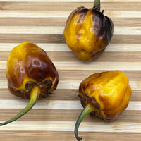 Pimenta Puma Golden - Seeds - The Pepper Pantry (Formerly Marie Sharp's)