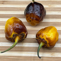 Pimenta Puma Golden - Seeds - The Pepper Pantry (Formerly Marie Sharp's)