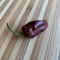 Pimenta Puma - Seeds - The Pepper Pantry (Formerly Marie Sharp's)
