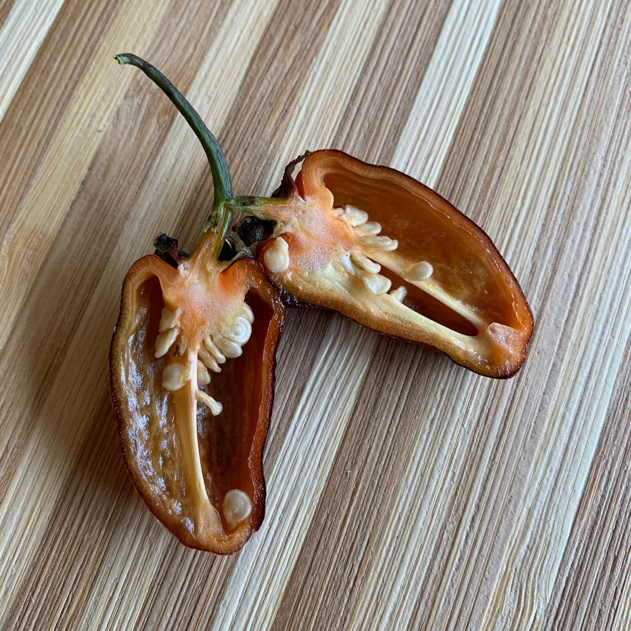 Pimenta Puma - Seeds - The Pepper Pantry (Formerly Marie Sharp's)