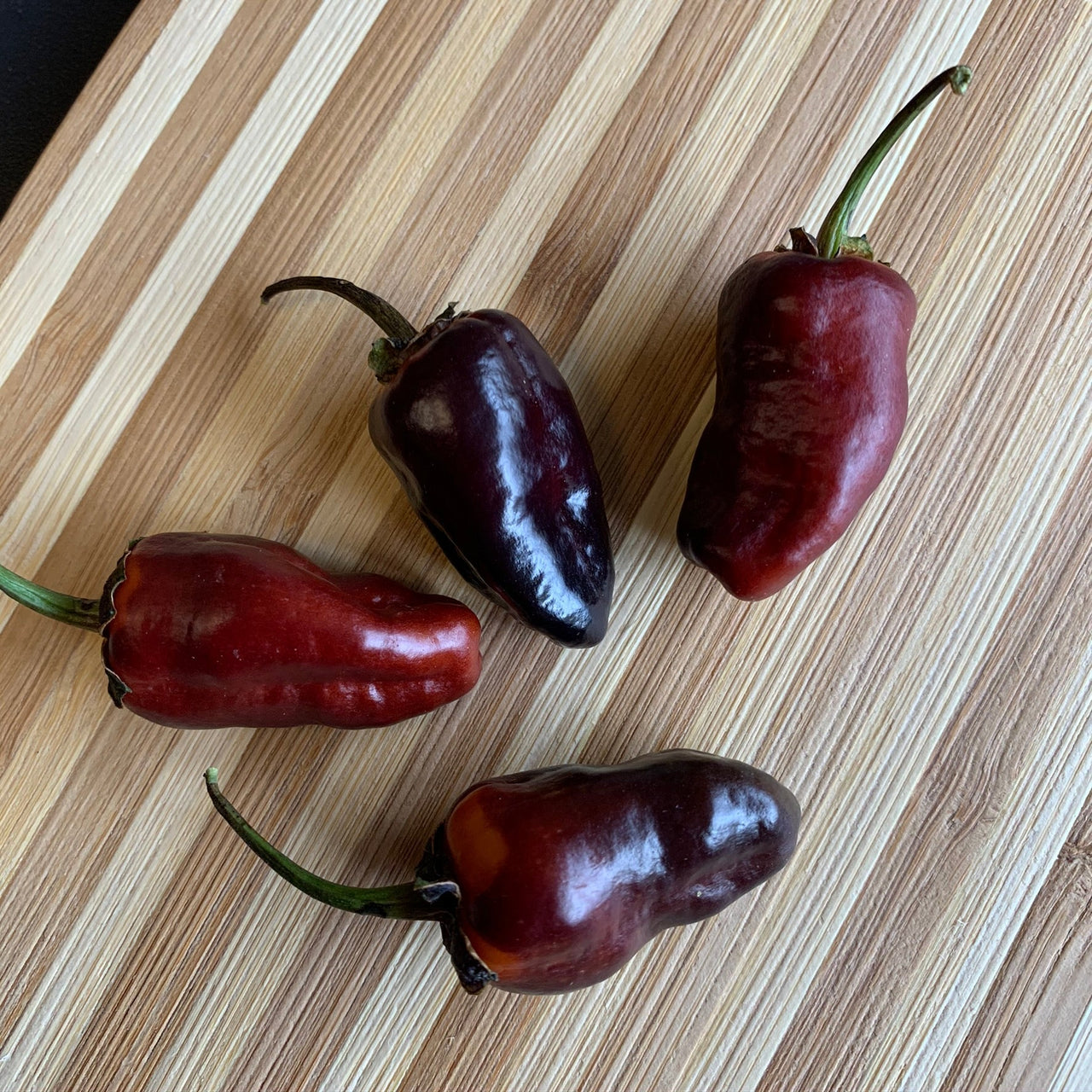 Pimenta Puma - Seeds - The Pepper Pantry (Formerly Marie Sharp's)