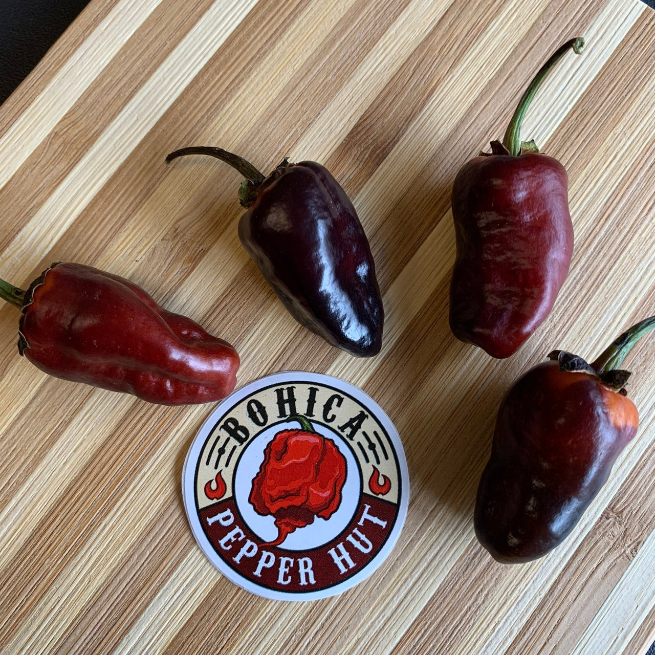 Pimenta Puma - Seeds - The Pepper Pantry (Formerly Marie Sharp's)