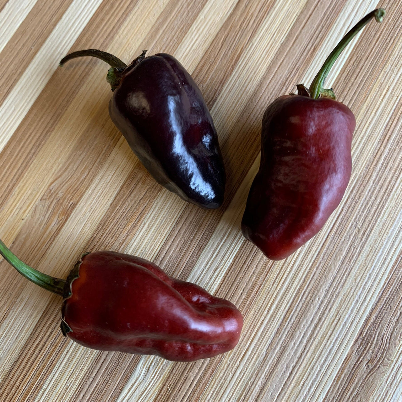 Pimenta Puma - Seeds - The Pepper Pantry (Formerly Marie Sharp's)