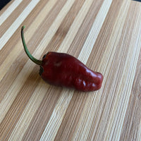 Pimenta Puma - Seeds - The Pepper Pantry (Formerly Marie Sharp's)