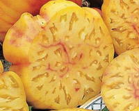 Pineapple Tomato Seeds