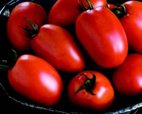 Plum Regal Hybrid Tomato Seeds