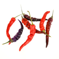 Purple Thai Pepper Seeds - The Pepper Pantry (Formerly Marie Sharp's)