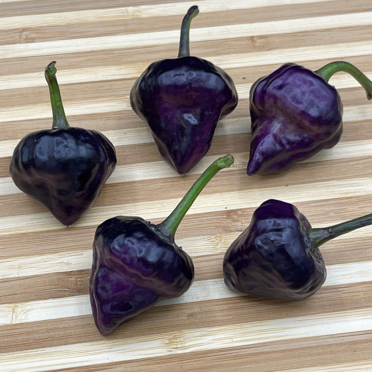 Purple UFO - Seeds - The Pepper Pantry (Formerly Marie Sharp's)