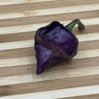 Purple UFO - Seeds - The Pepper Pantry (Formerly Marie Sharp's)