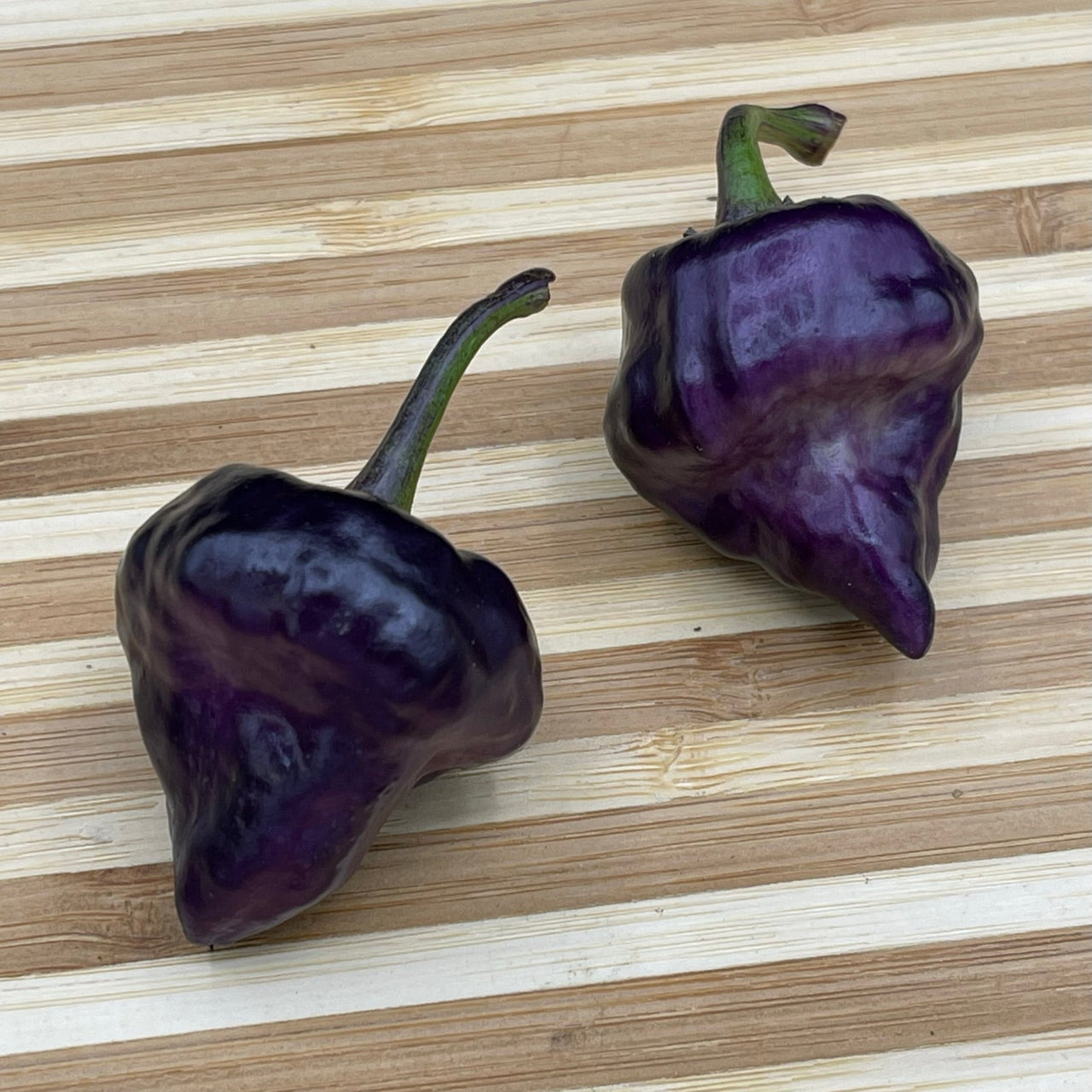 Purple UFO - Seeds - The Pepper Pantry (Formerly Marie Sharp's)