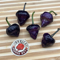 Purple UFO - Seeds - The Pepper Pantry (Formerly Marie Sharp's)