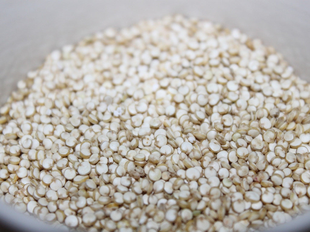 100 Organic PEPPERMINT QUINOA Grain Chenopodium Quinoa White & Green Heads - White Seeds