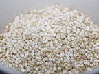 100 Organic PEPPERMINT QUINOA Grain Chenopodium Quinoa White & Green Heads - White Seeds