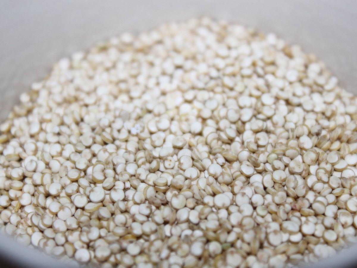 100 Organic PEPPERMINT QUINOA Grain Chenopodium Quinoa White & Green Heads - White Seeds