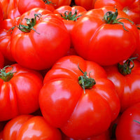 Red Brandywine Tomato Seeds - The Pepper Pantry (Formerly Marie Sharp's)