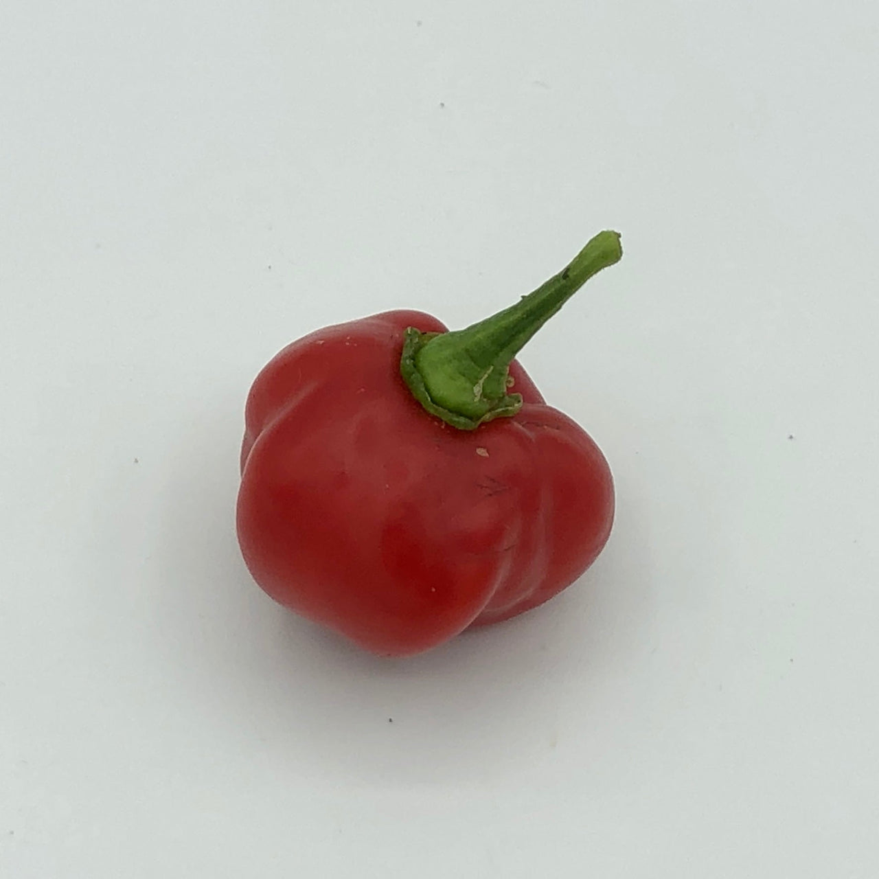 Red Savina - Seeds - The Pepper Pantry (Formerly Marie Sharp's)