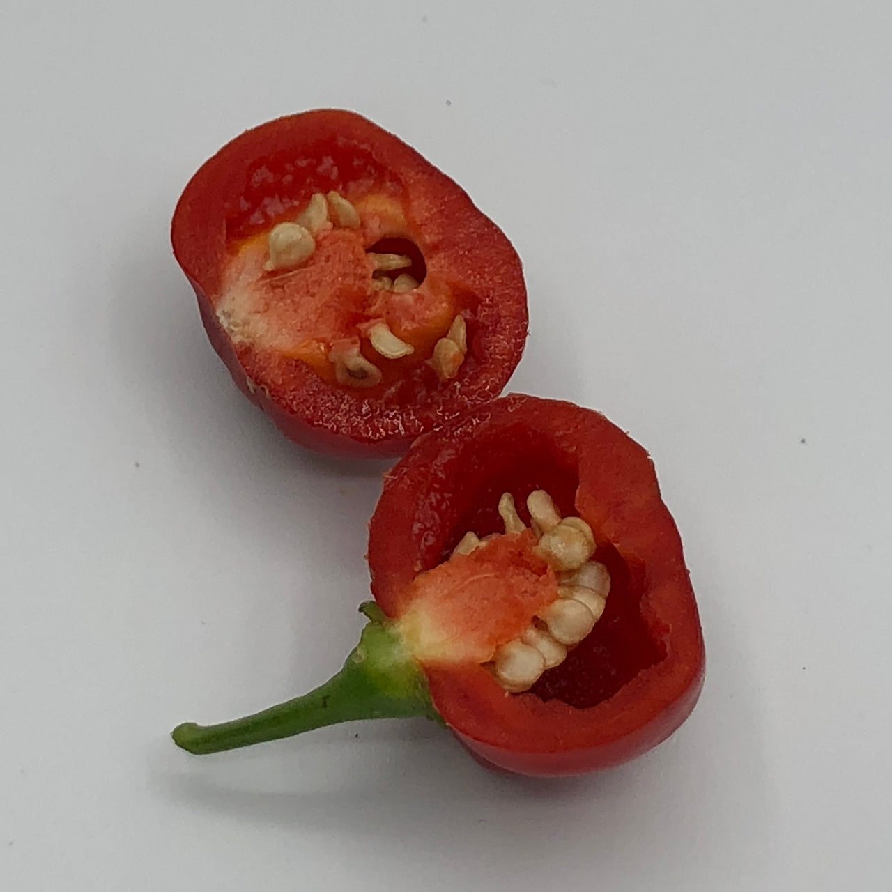 Red Savina - Seeds - The Pepper Pantry (Formerly Marie Sharp's)