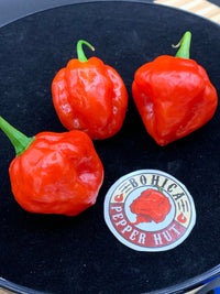 Red Savina x Scotch Bonnet MOA - Seeds - The Pepper Pantry (Formerly Marie Sharp's)