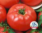 Red Brandymaster Hybrid Tomato Seeds