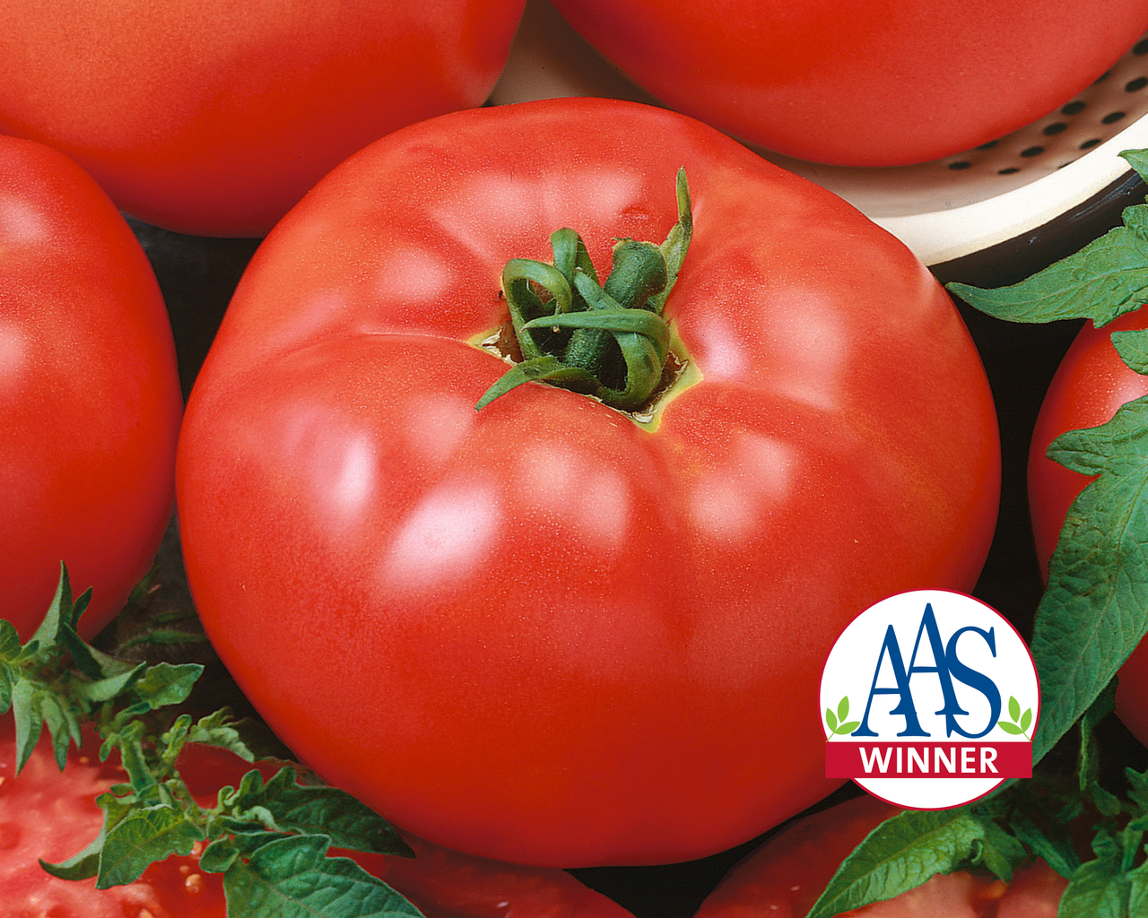 Red Brandymaster Hybrid Tomato Seeds