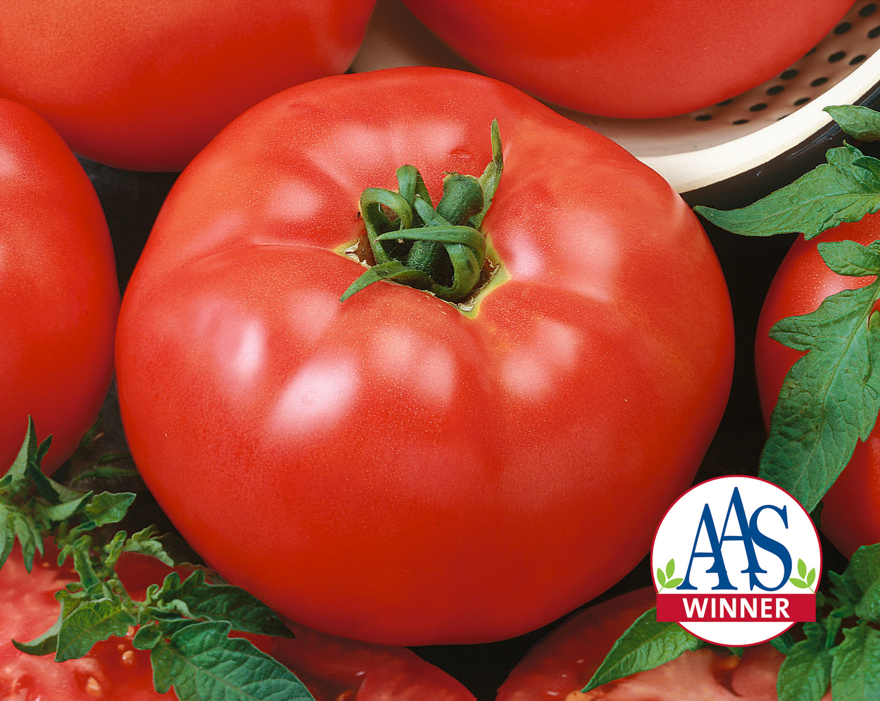 Red Brandymaster Hybrid Tomato Seeds