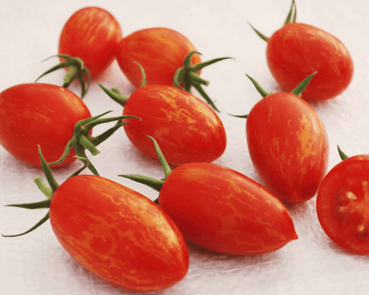 Red Torch Hybrid Tomato Seeds