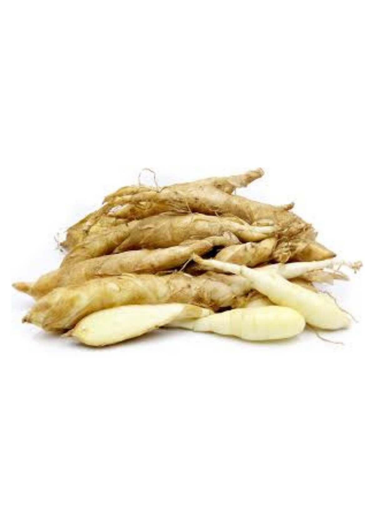 Arrowroot (Maranta arundinacea)