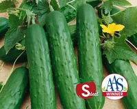 Saladmore Bush Hybrid Cucumber Seeds