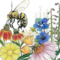 Save the Bees Wildflower Mix (1/4 lb)