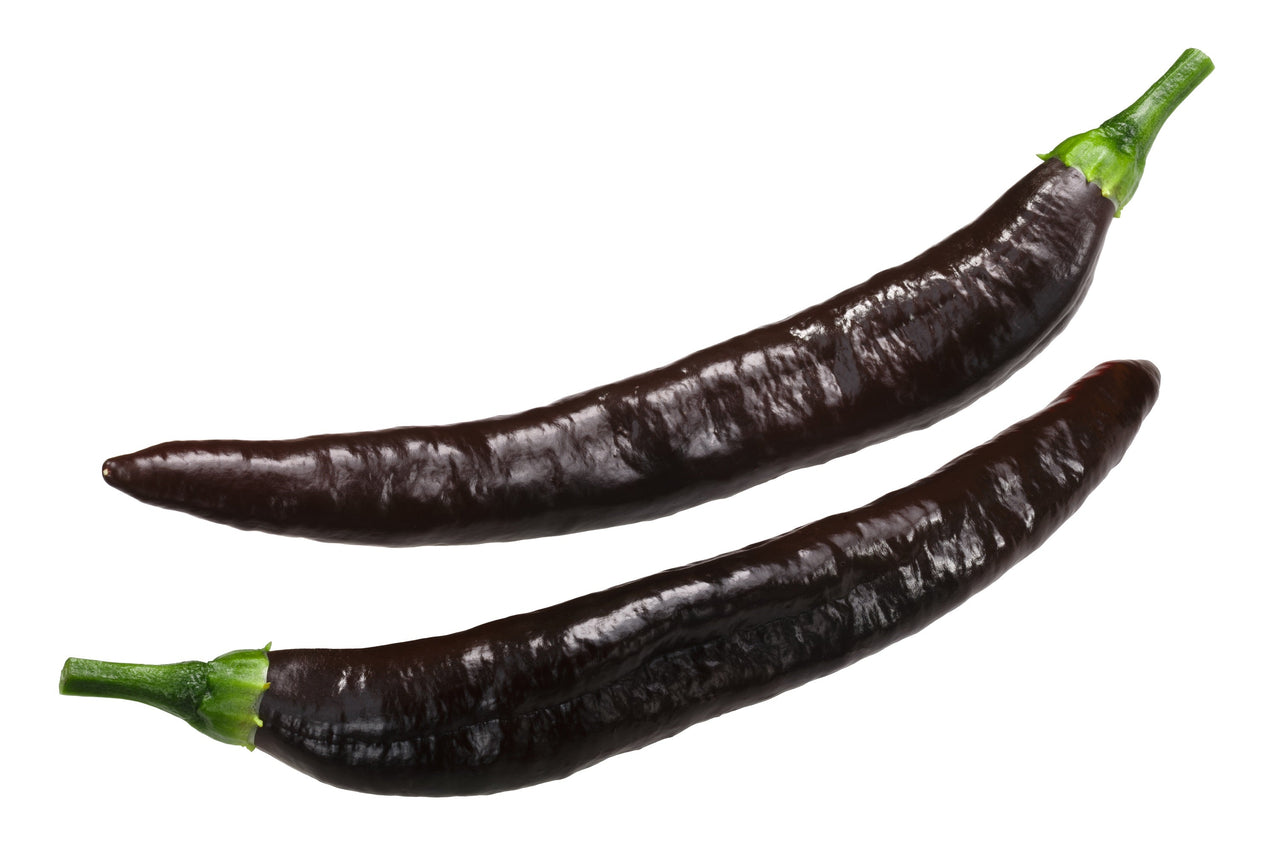 50 PASILLA BAJIO PEPPER Mexican Chile Negro Capsicum Annuum Vegetable Seeds