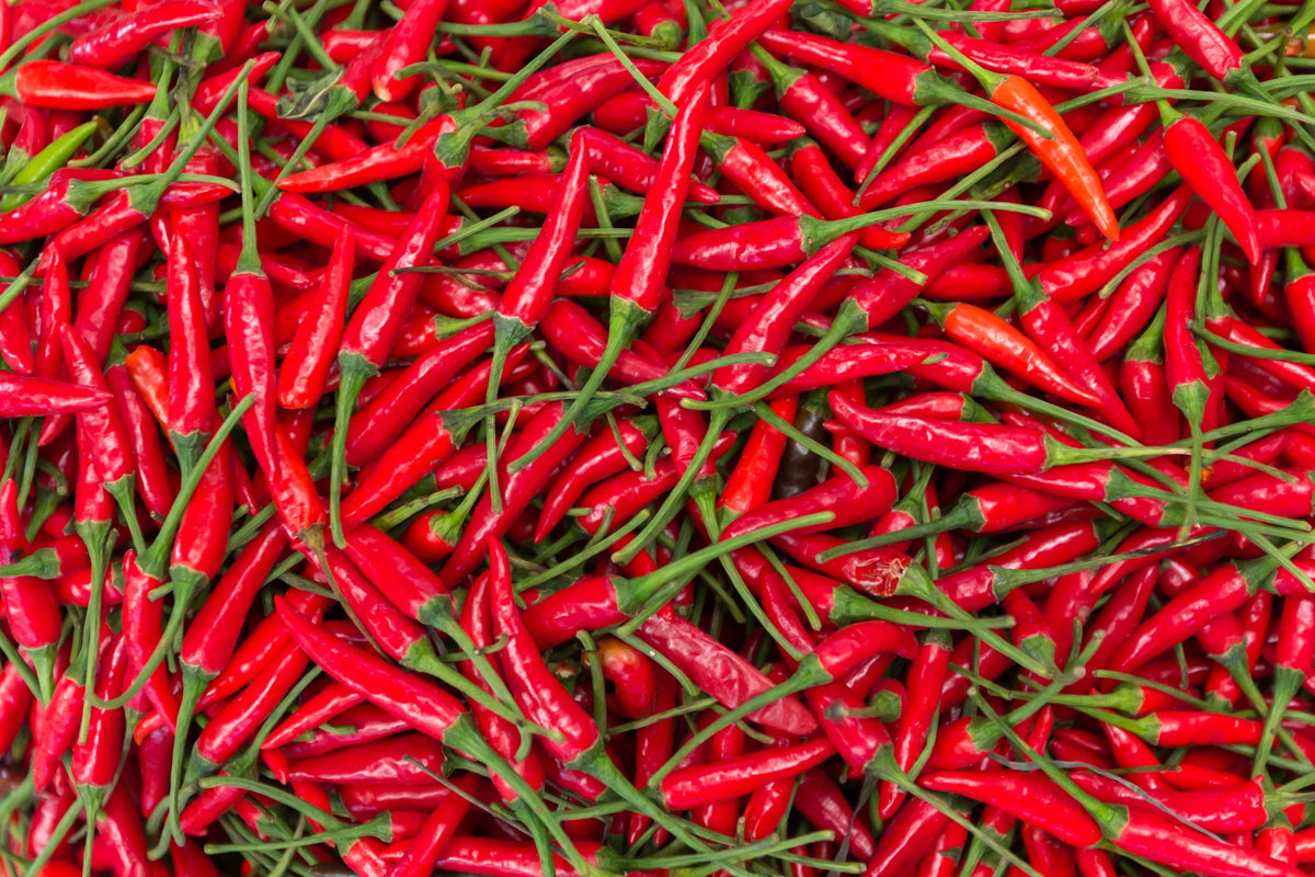 300 THIN CAYENNE PEPPER Hot Chili Long Green Red Slim Capsicum Vegetable Seeds