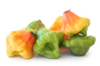 40 Orange SCOTCH BONNET PEPPER very hot Jamaican Capsicum Annuum Vegetable Seeds