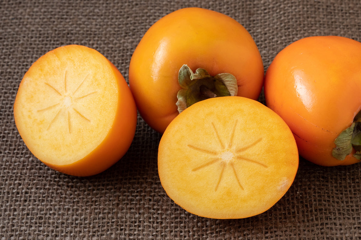 5 JAPANESE PERSIMMON Tree Asian Diospyros Kaki Orange Red Fruit Flower Seeds
