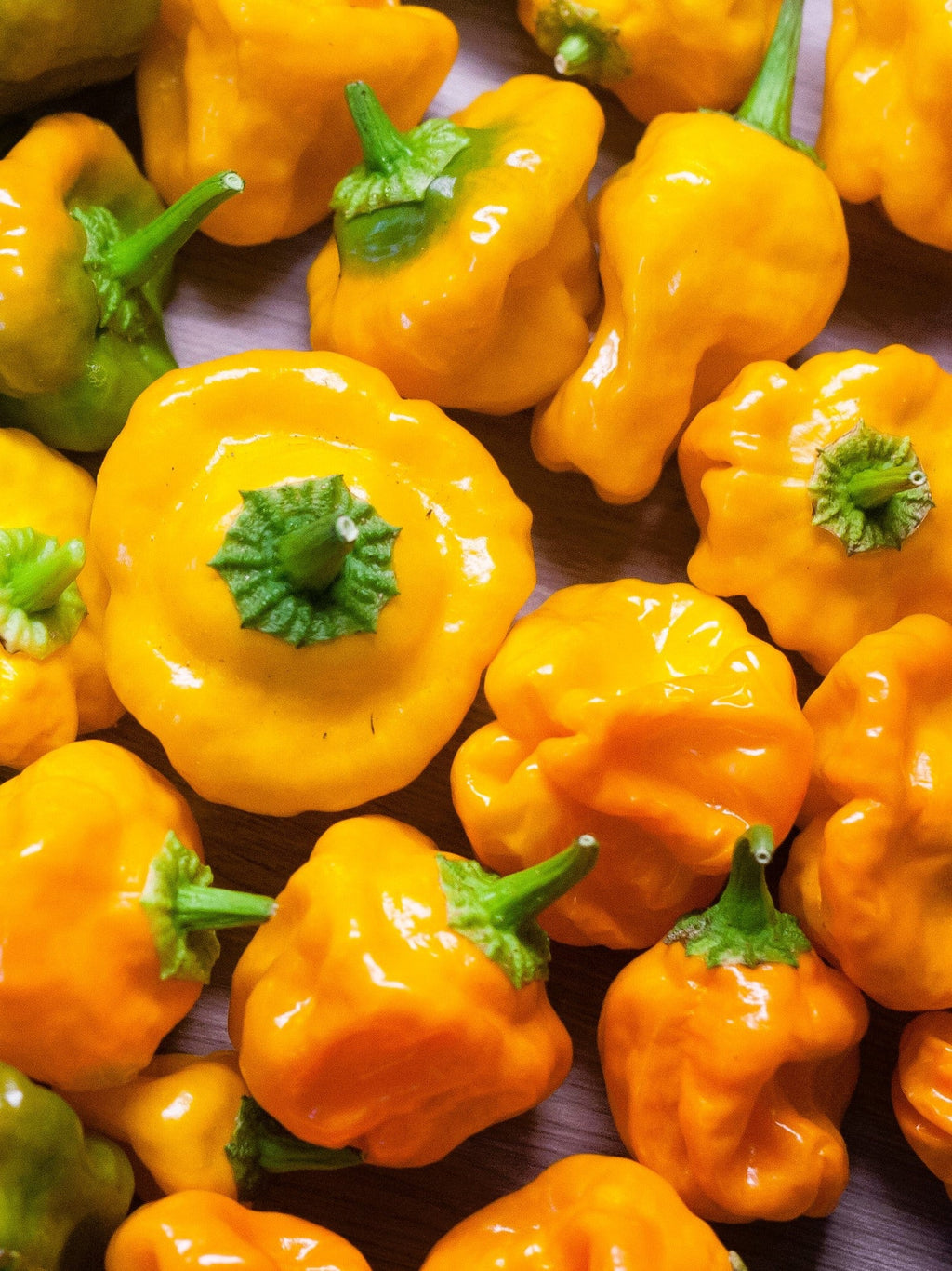 40 Yellow SCOTCH BONNET PEPPER very hot Jamaican Capsicum Annuum Vegetable Seeds
