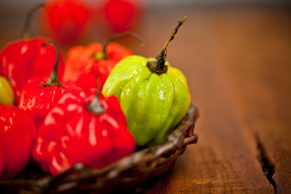 40 Red JAMAICAN HOT PEPPER Capsicum Annuum Scotch Bonnet Vegetable Seeds