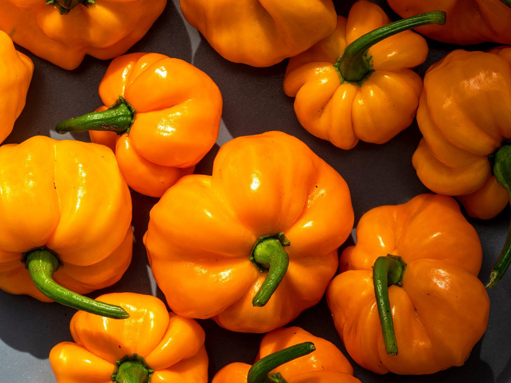 40 Yellow JAMAICAN HOT PEPPER Capsicum Annuum Scotch Bonnet Vegetable Seeds