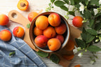 5 MANCHURIAN APRICOT Fruit Tree Flowering Prunus Mandshurica Seeds