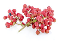 25 SZECHUAN PEPPER Peppercorn Sichuan Szechwan Zanthoxylum Bungeanum Spice Seeds
