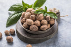 1 NUTMEG TREE Seed Myristica Fragrans Pala MACE Fruit Nut Pumpkin Pie Spice