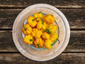 40 Yellow JAMAICAN HOT PEPPER Capsicum Annuum Scotch Bonnet Vegetable Seeds