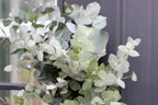 20 SILVER DROP EUCALYPTUS Gunnii Cider Gum Silver Blue Foliage Florist Tree Seeds