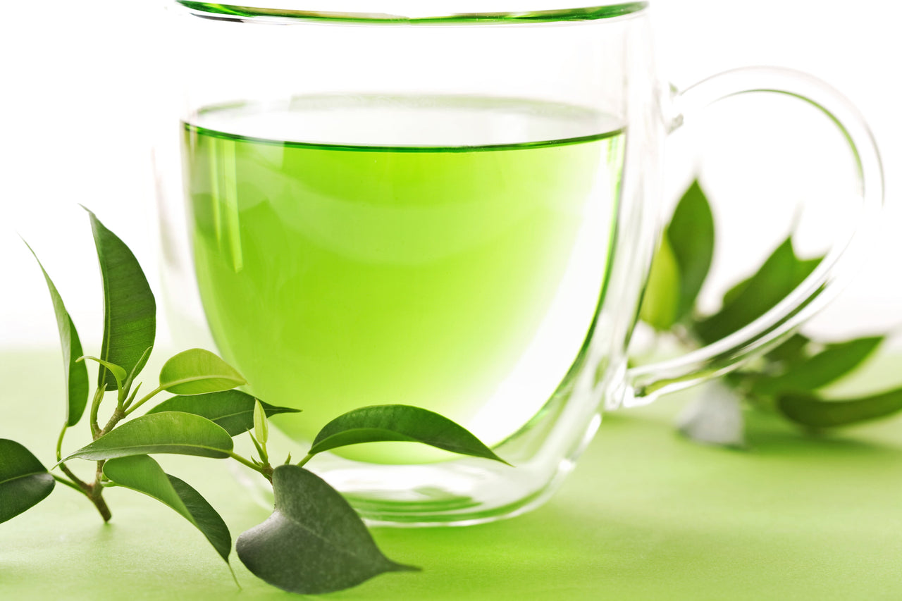 5 TEA PLANT Black & Green Drinking Tea Camellia Sinensis Evergreen Tree Shrub Flower Seeds