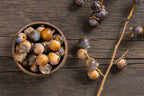 10 ITALIAN PERSIMMON TREE Dateplum Date Plum Fruit Diospyros Lotus Seeds