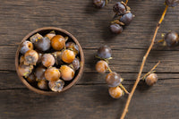 10 ITALIAN PERSIMMON TREE Dateplum Date Plum Fruit Diospyros Lotus Seeds